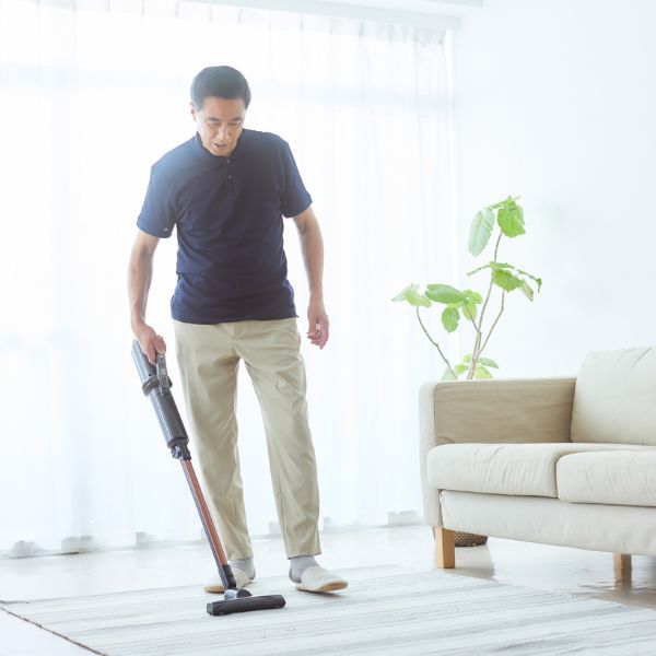 How to Remove Pet Hair from Upholstery1.jpg