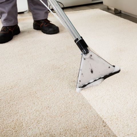 Carpet Cleaning