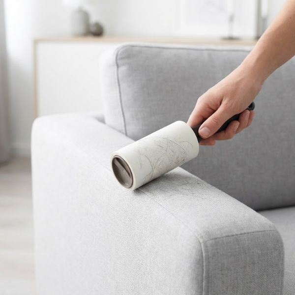 How to Remove Pet Hair from Upholstery3.jpg