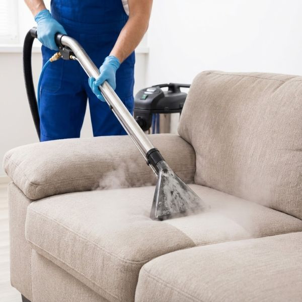 How to Remove Pet Hair from Upholstery4.jpg