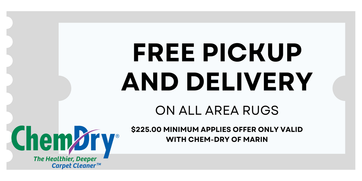 Free Pickup and Delivery Area Rugs