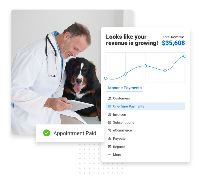veterinarian payments software