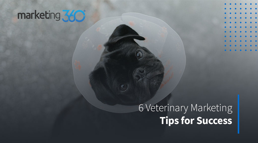 6-Veterinary-Marketing-Tips-for-Success-1.jpeg