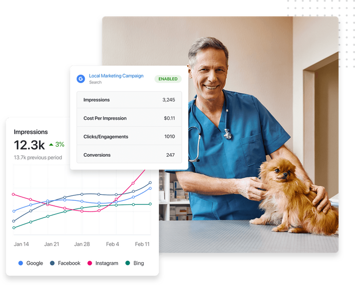 Veterinarian petting puppy overlaid with graph showing ad impressions and ad campaign reporting Veterinian ad campaign reporting