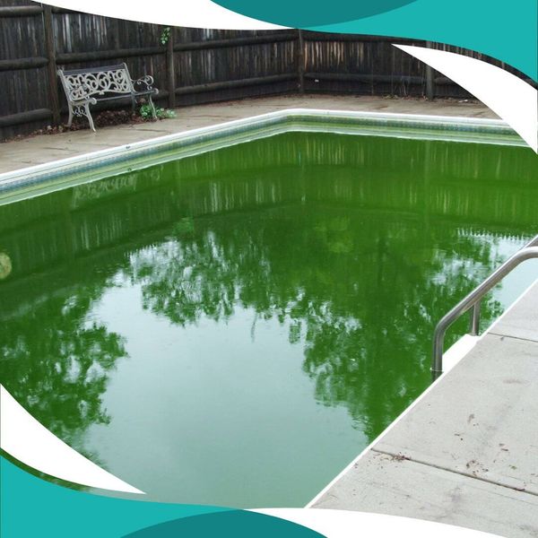 green.jpg