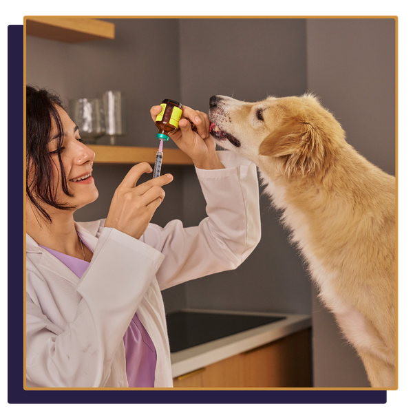 Accountant for Veterinarians 2.png