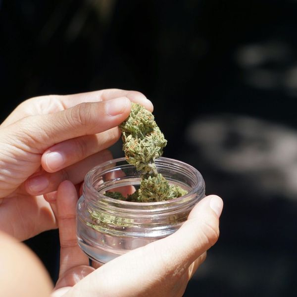Person holding a small glass jar containing a cannabis flower bud