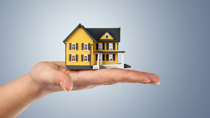 hand holding small plastic house