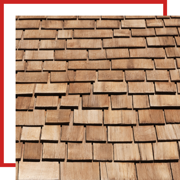 ShakeShingles-1.png