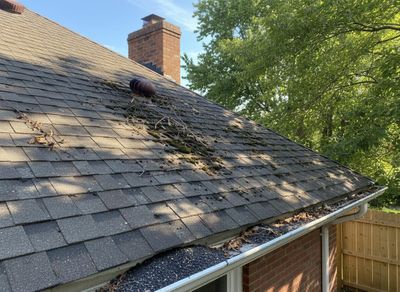 Dirty Asphalt Shingle Roof with Clogged Gutters