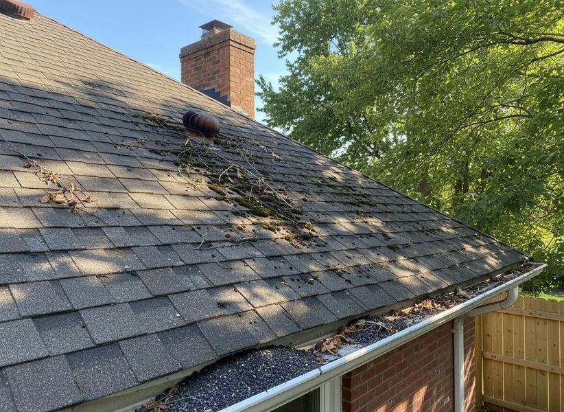Dirty Asphalt Shingle Roof with Clogged Gutters