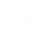 White line art icon of a trainer assisting an elderly person on a bench, representing senior fitness programs.