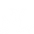White line art icon of a person lifting a barbell, representing corporate wellness and fitness programs.