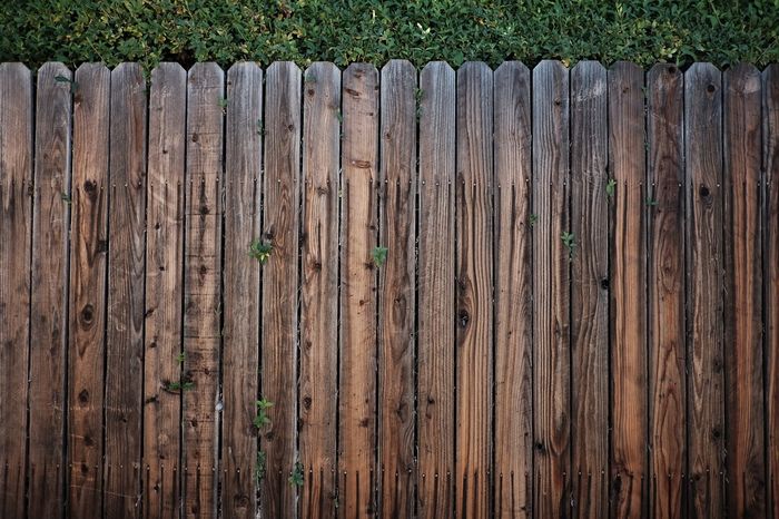Fence 3.jpg