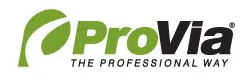 Pro Via Windows Logo.png