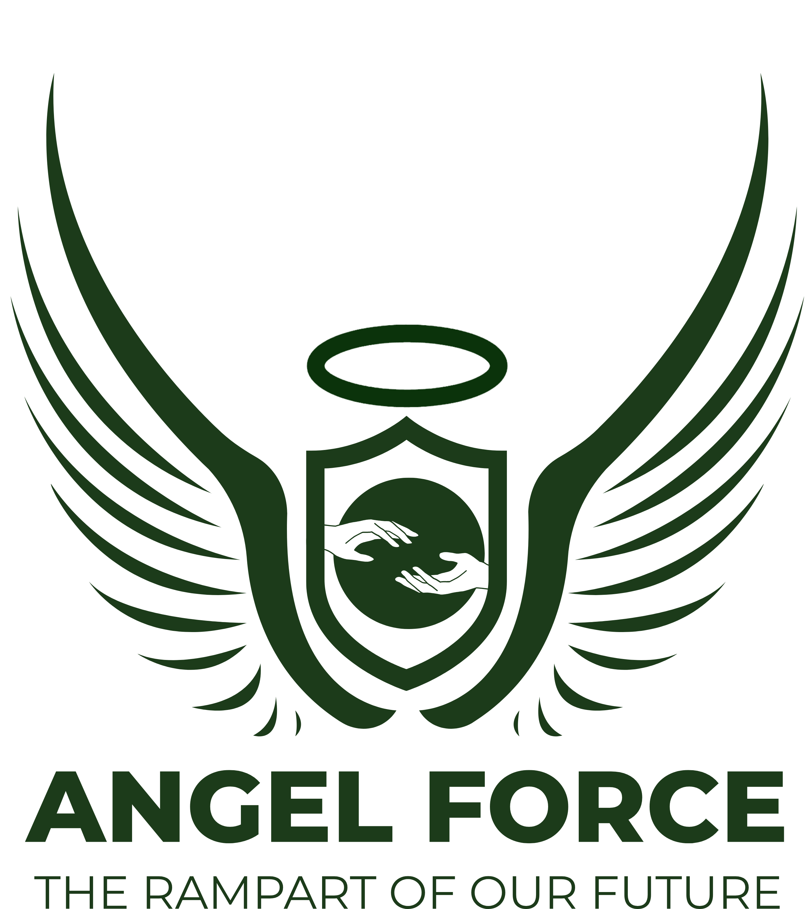 Angel Force Protection, LLC