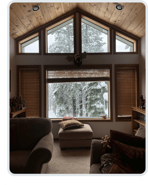 comfortable home, looking outside to a wintry forest