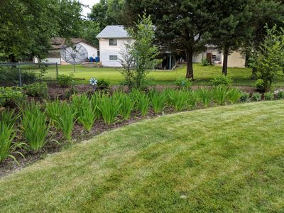 GUITHER RAIN GARDEN 4.jpg