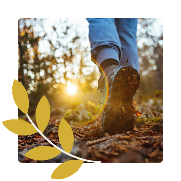 M342761 - BG Img 1 (8).png