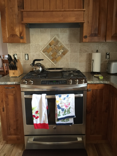 Back Splash.png