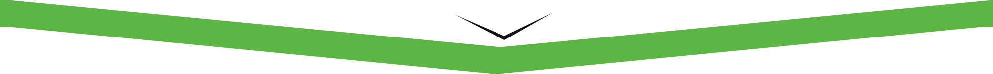 Bottom triangle (1).png