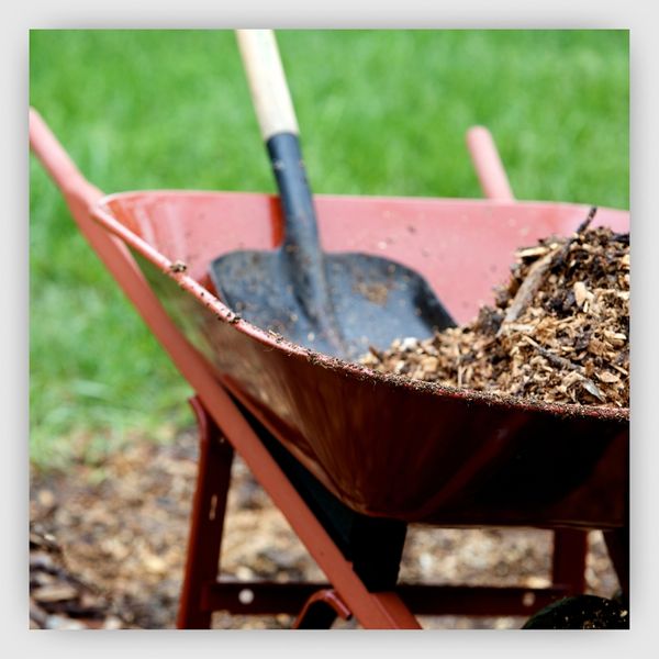 Shovel and mulch