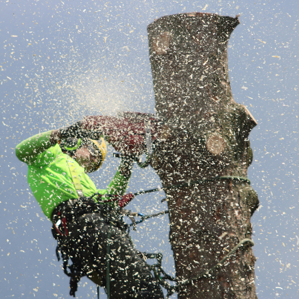 The Benefits of Hiring a Landscape Maintenance Professional2 (2).png