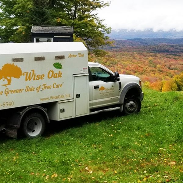 Image of a Wise Oak Truck
