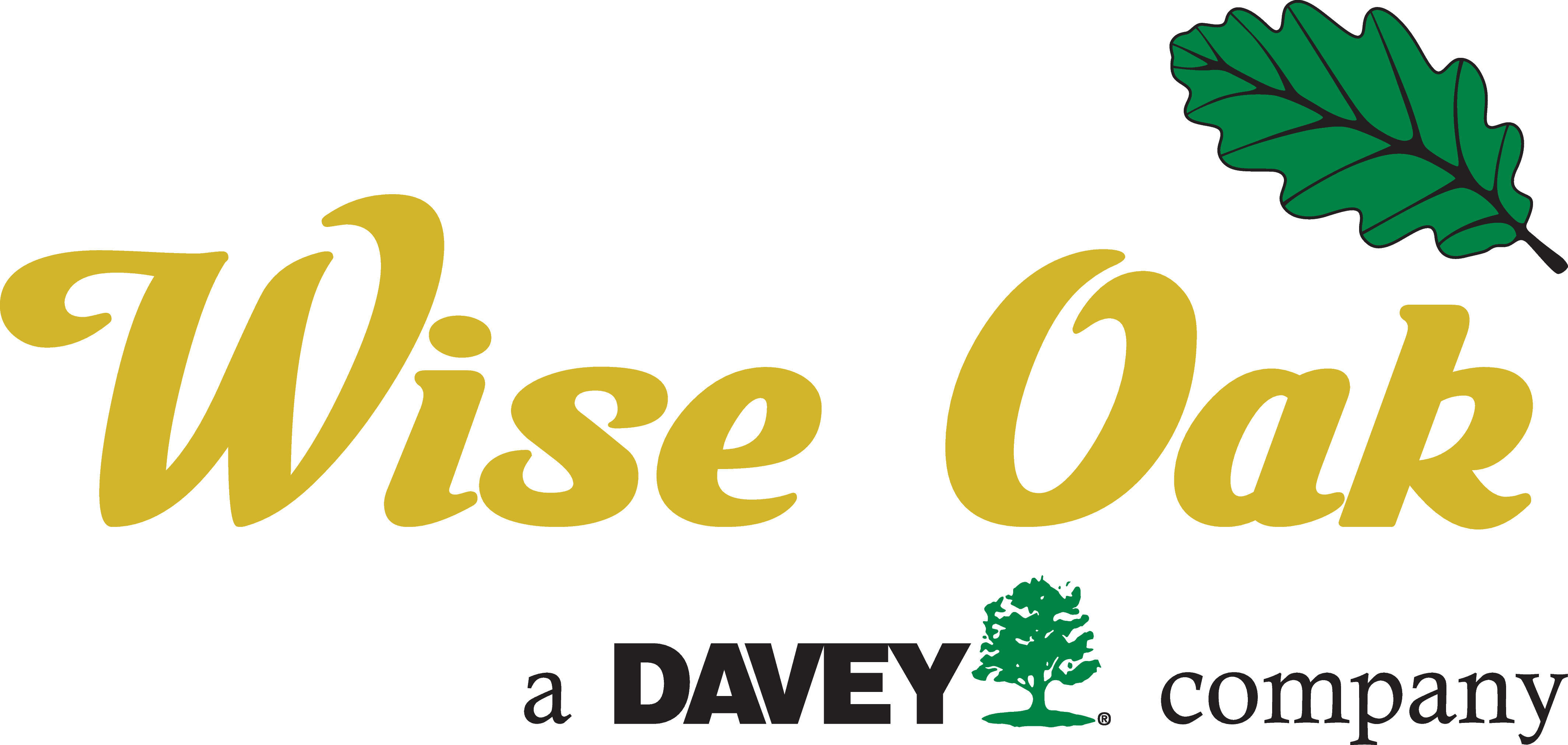 Wise Oak Inc.