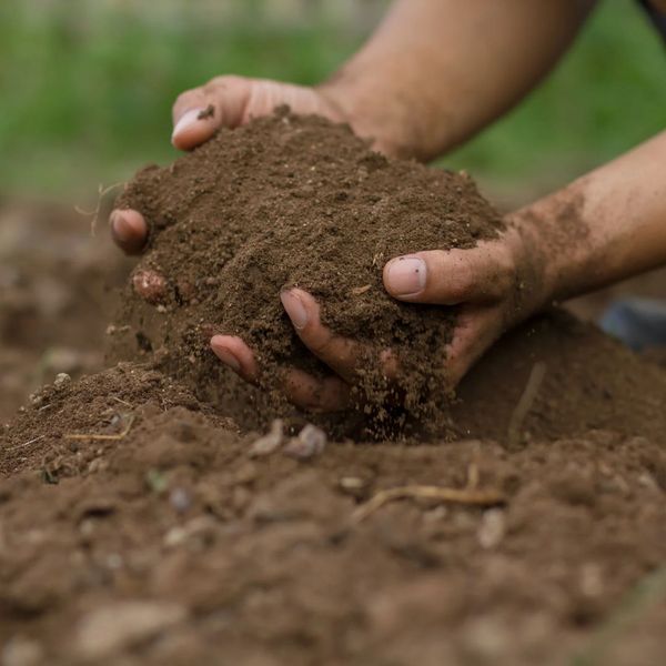 image of soil