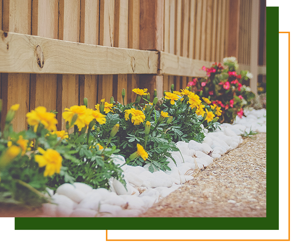 Flowers along a fence