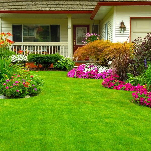 Nice front lawn with flowers