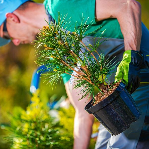Why Choosing a Professional Landscaping Company Matters - Image 2.jpg