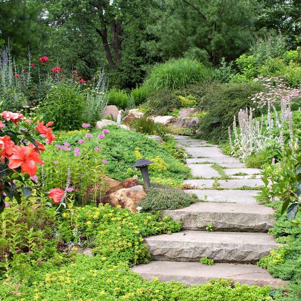 landscaped pathway