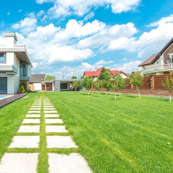 img of landscaping Blitz Img 3.jpg