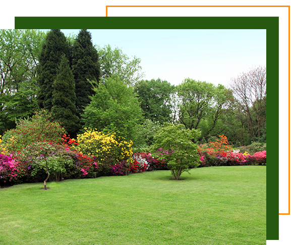 Trees and flowers and a manicured lawn