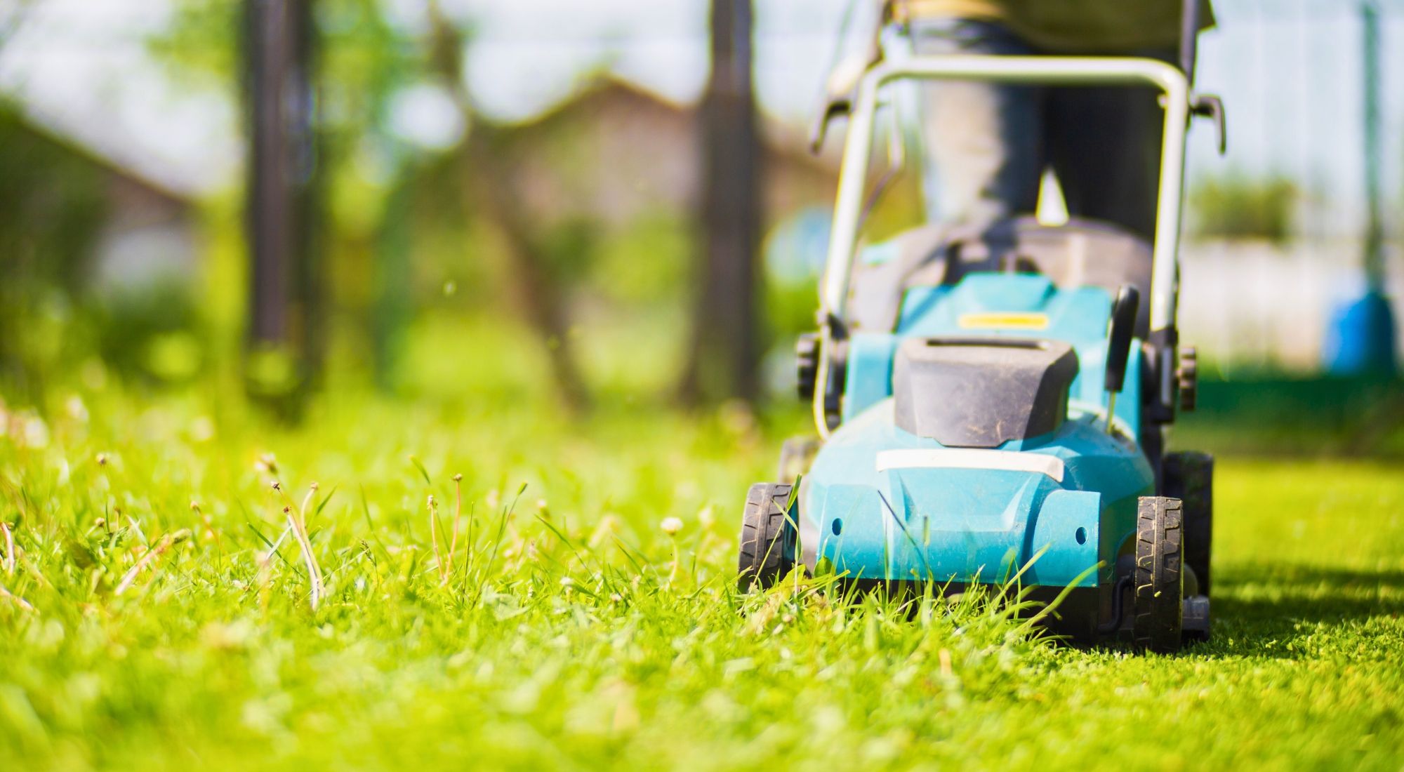 Blog Hero Image-Essential Lawn Care Maintenance Services for a Lush Lawn.jpg