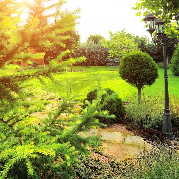Why Choosing a Professional Landscaping Company Matters - Image 1.jpg