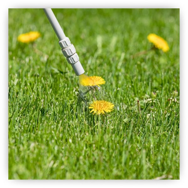 BlogImage4-Essential Lawn Care Maintenance Services for a Lush Lawn.jpg