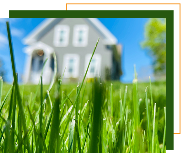 Lawn in front of a house