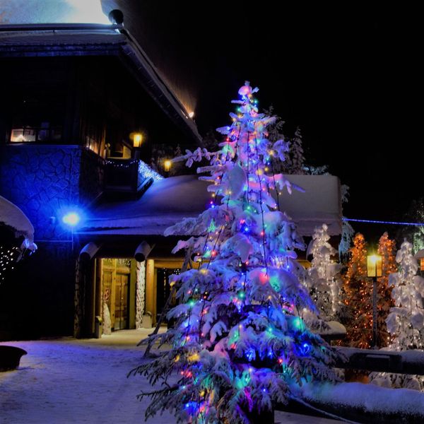 Christmas lights on a tree outside of a house