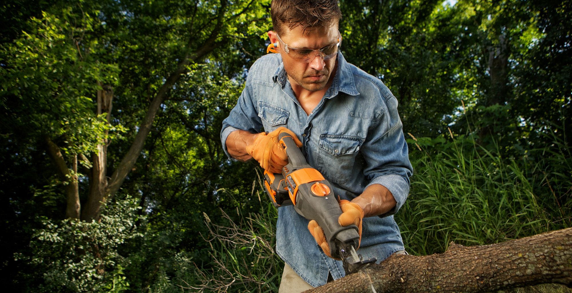 Why Tree Trimming & Pruning Are So Important_Why Tree Trimming & Pruning Are So Important_.jpg