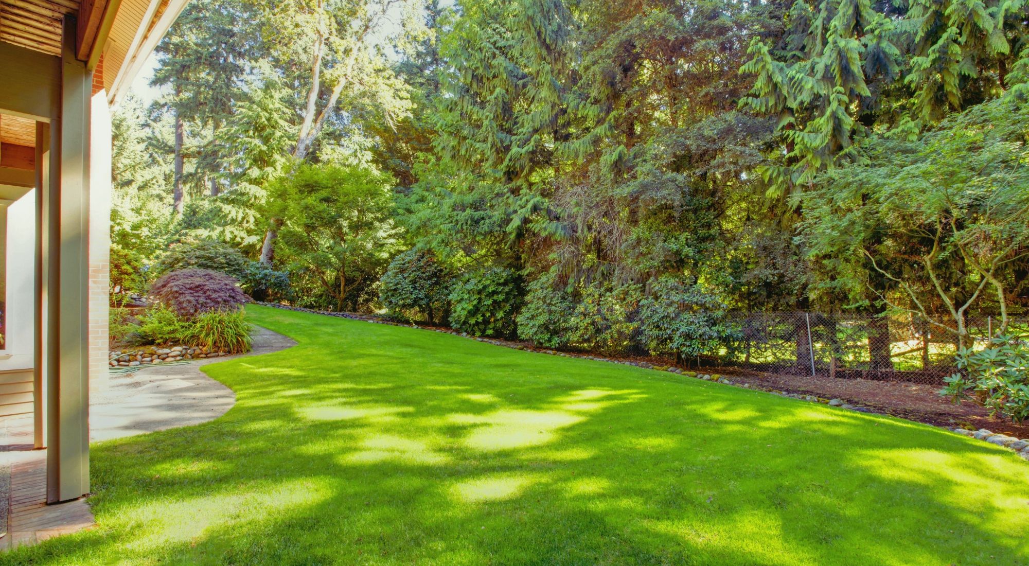 Bright lawn