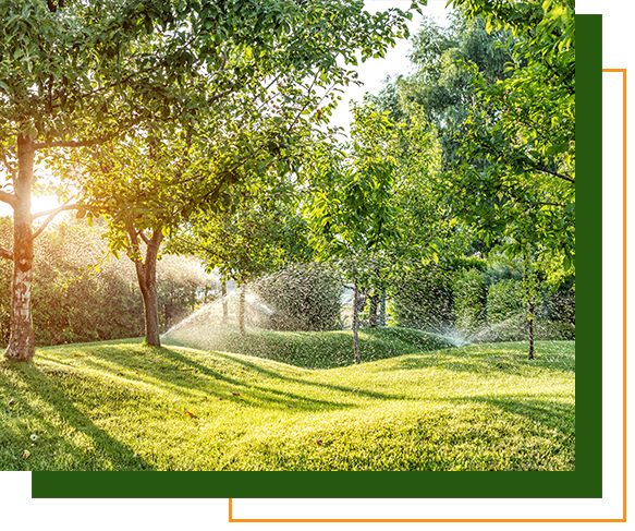 A scene of trees and grass with sprinklers