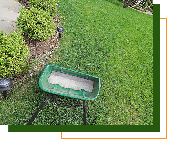 Fertilizing a lawn