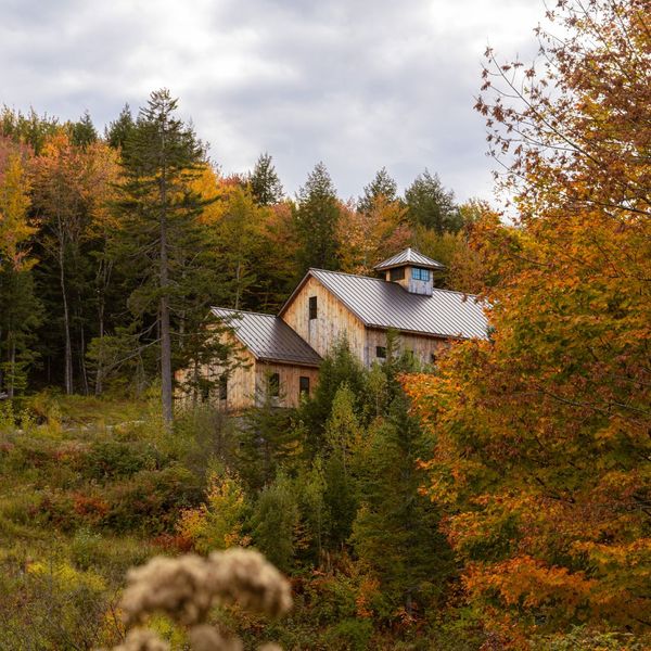 A home tucked amongst trees in Vermont