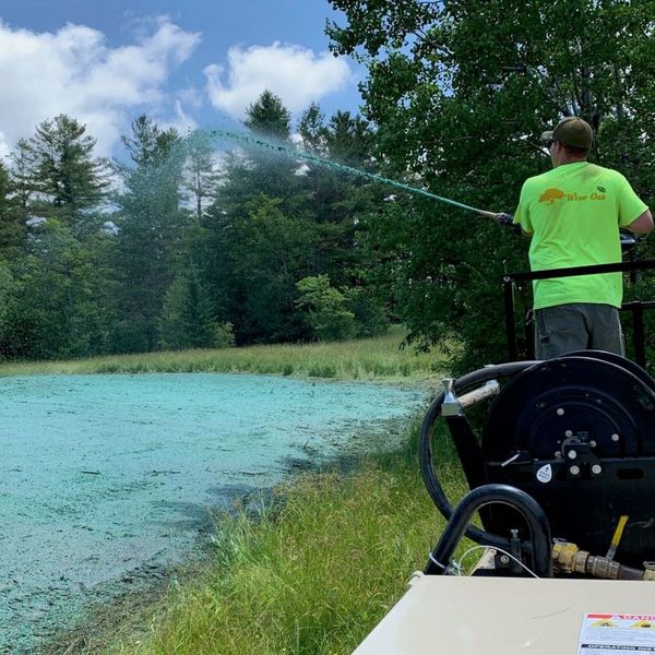 A hydroseeding nozzle spraying a thick green slurry onto the ground.