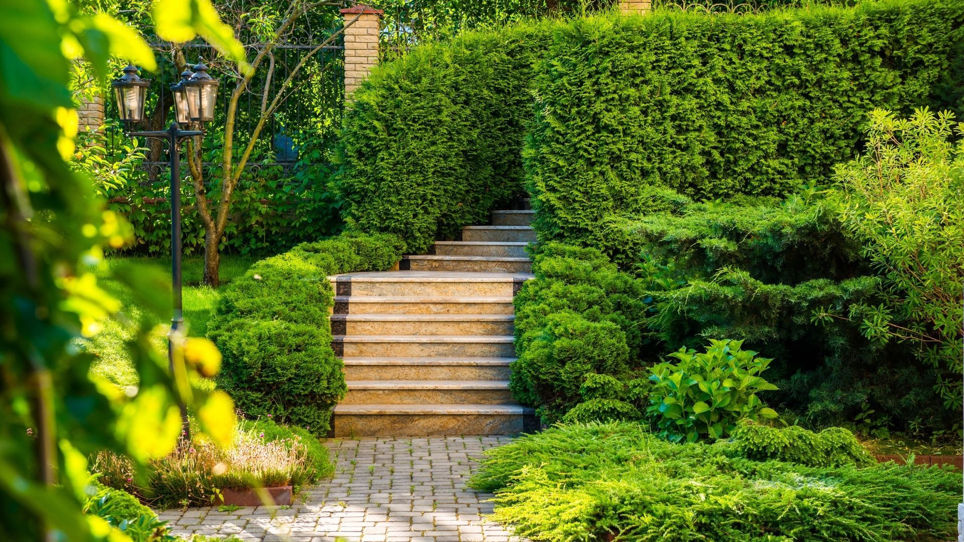 Nice landscaped stairs and trimmed hedges