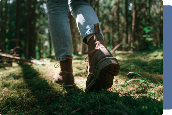 Homepage image 1.png