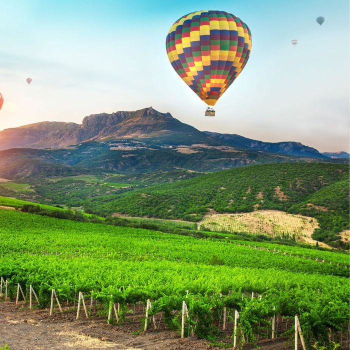 hot air balloon over grape vines